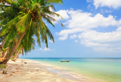 Fototapete Tropische Palmen Strand und Ozean