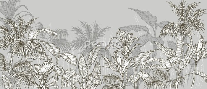 Fototapete Tropische Pflanzen auf grauem Hintergrund