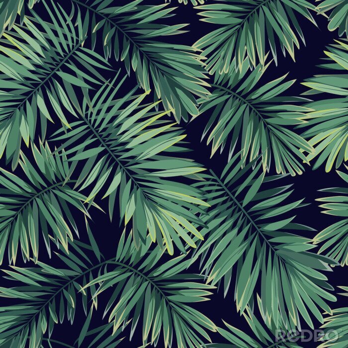 Fototapete Tropische Pflanzen des Dschungels