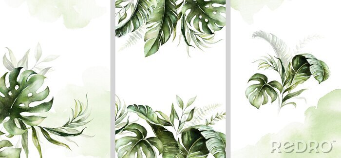 Fototapete Tropische Pflanzen in drei Illustrationen unterteilt