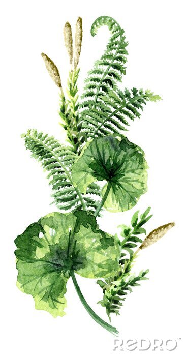 Fototapete Tropische Pflanzen vertikale Illustration
