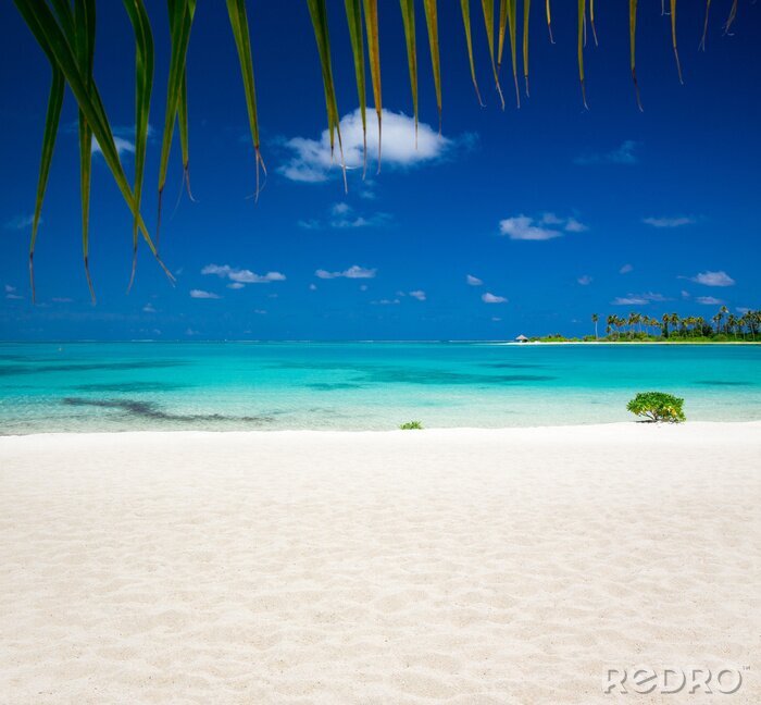 Fototapete Tropische Strandlandschaft auf den Malediven