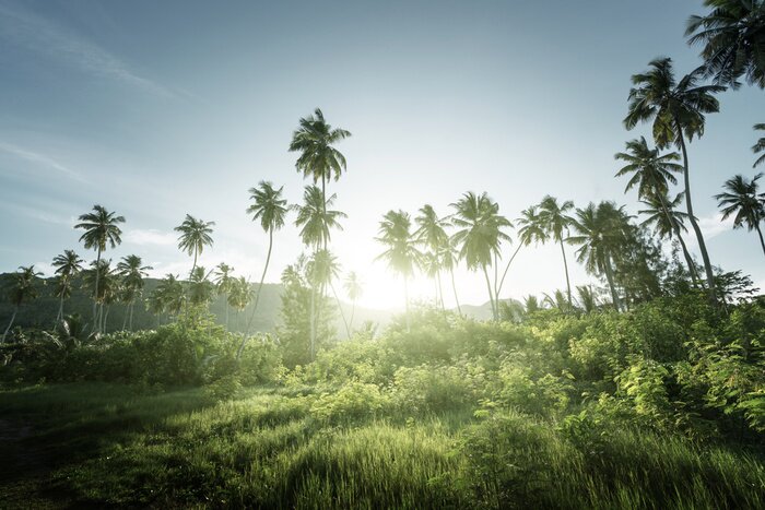 Fototapete Tropischer Dschungel auf den Seychellen