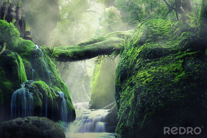 Fototapete Tropischer Dschungel mit Wasserfall
