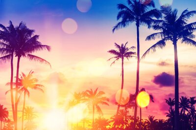 Tropischer Sommer auf einem Foto mit Palmen