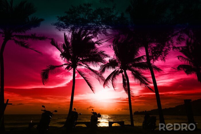 Fototapete Tropischer Sonnenuntergang