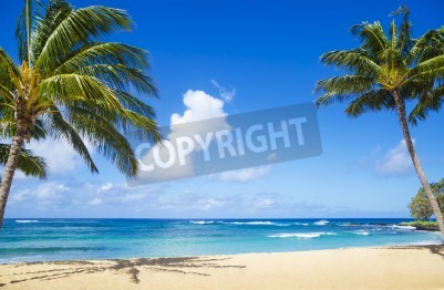 Fototapete Tropischer Strand auf Hawaii