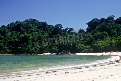 Fototapete Tropischer Strand in Costa Rica