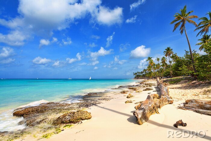 Fototapete Tropischer Strand in der Dominikanischen Republik