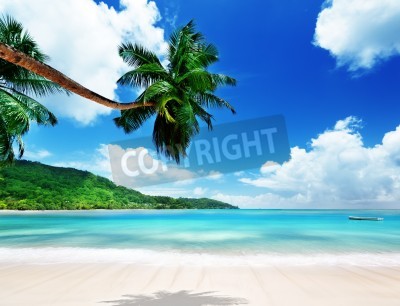 Fototapete Tropischer Strand mit Palmen