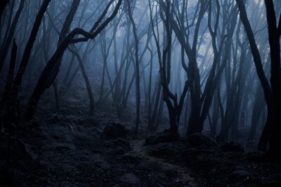 Tropischer Wald in Dunkelheit