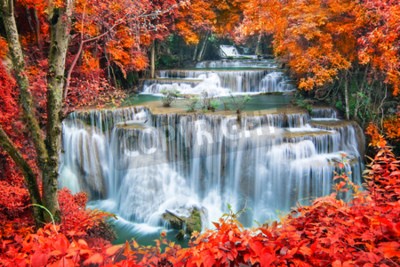 Fototapete Tropischer Wasserfall und Herbstblätter