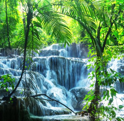 Tropischer Wasserfall und Palmen