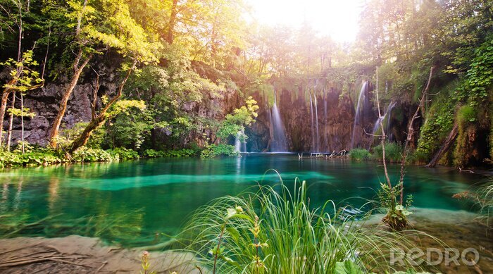 Fototapete Tropischer Wasserfall und türkisfarbenes Wasser