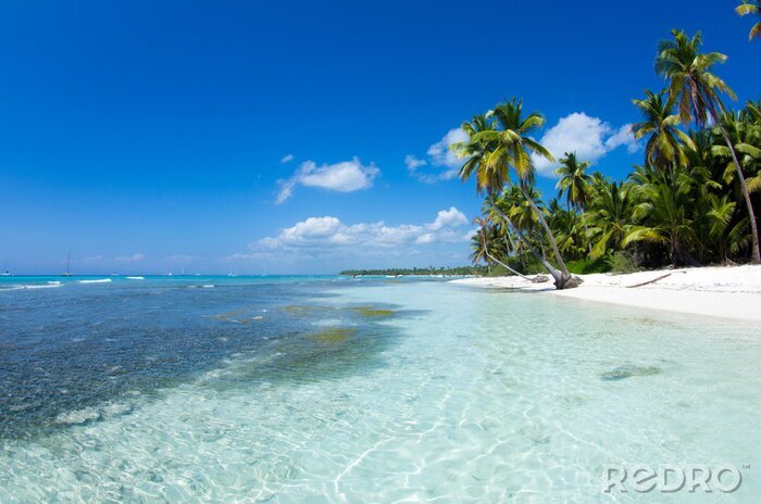 Fototapete Tropisches Meer und Palmen