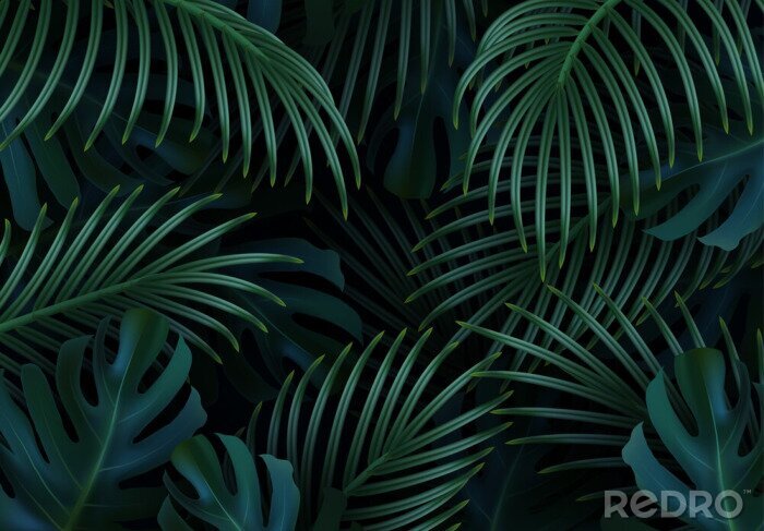 Fototapete Tropisches Muster aus grünen Blättern exotischer Pflanzen
