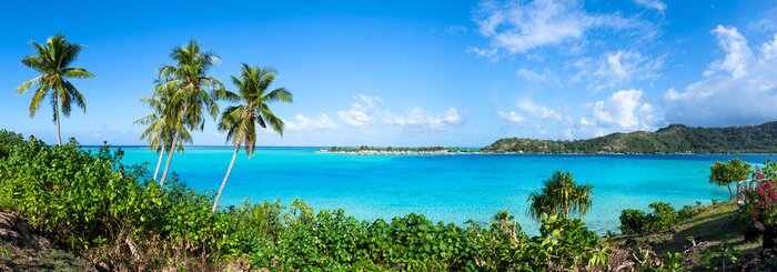 Fototapete Tropisches Panorama