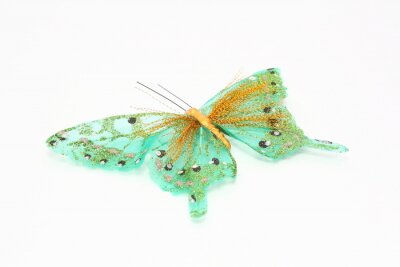 Fototapete Türkisfarbener Schmetterling auf weißem Hintergrund