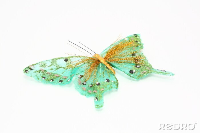 Fototapete Türkisfarbener Schmetterling auf weißem Hintergrund