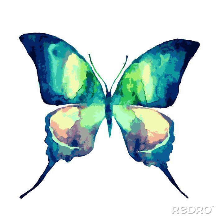 Fototapete Türkisfarbener Schmetterling in Aquarell