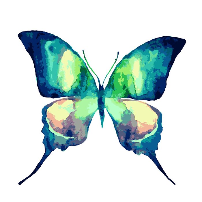 Fototapete Türkisfarbener Schmetterling in Aquarell