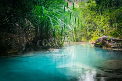 Fototapete Türkisfarbenes Wasser im Dschungel