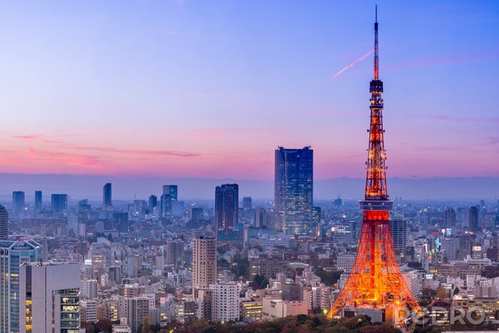 Fototapete Türme um den Tokyo Tower