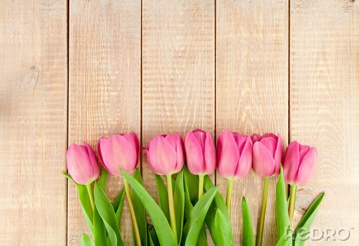 Fototapete Tulpen auf braunen Brettern