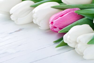Fototapete Tulpen auf weißen Brettern
