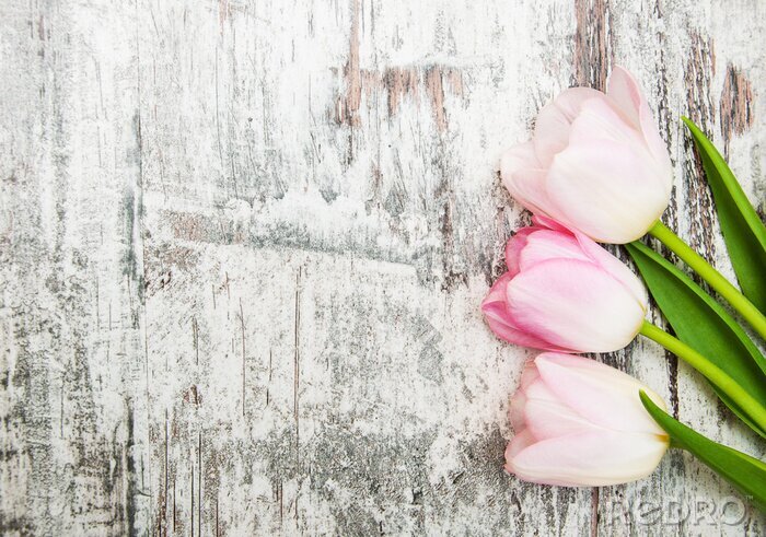 Fototapete Tulpen mit Holzbrettern im Hintergrund