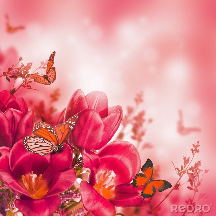 Fototapete Tulpen und Schmetterlinge im roten Farbton
