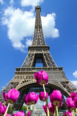 Fototapete Tulpen vor dem Hintergrund der Pariser Architektur