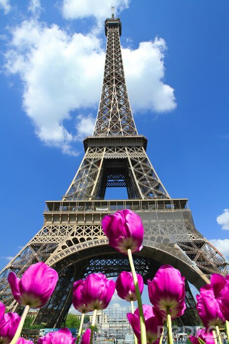 Fototapete Tulpen vor dem Hintergrund der Pariser Architektur