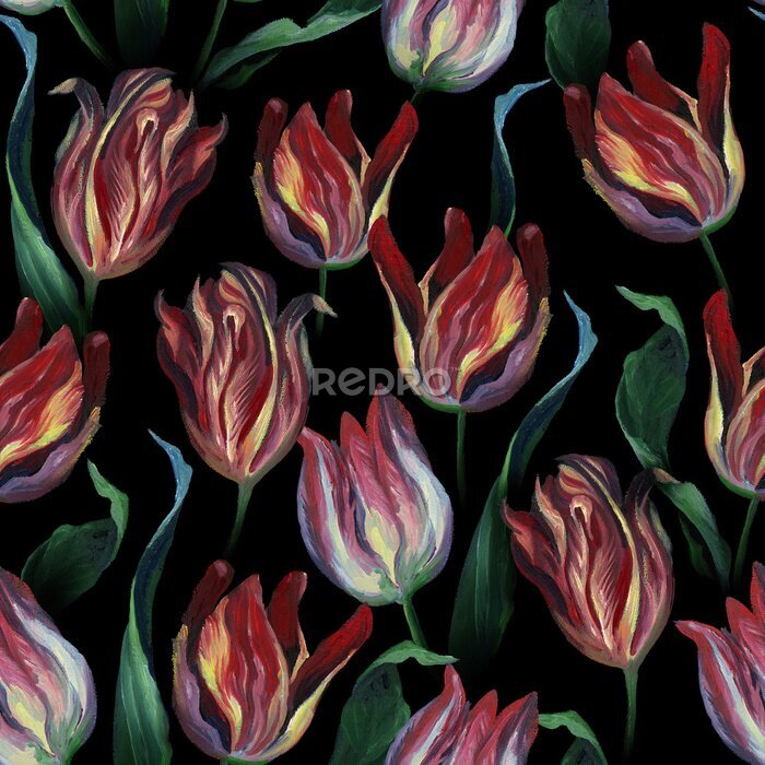 Fototapete Tulpen wie gemalt auf schwarzem Hintergrund