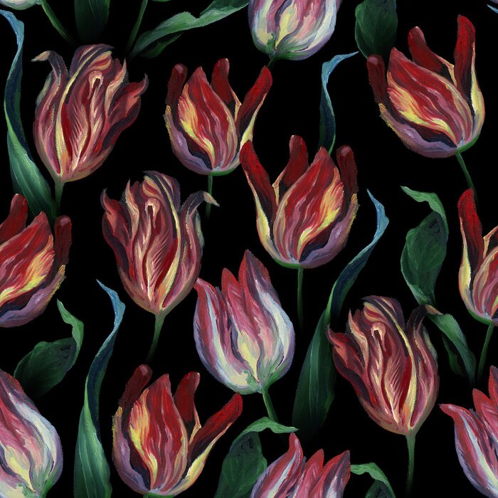 Fototapete Tulpen wie gemalt auf schwarzem Hintergrund