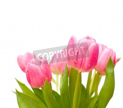 Fototapete Tulpenstrauß mit Blättern