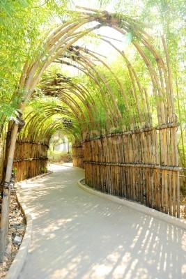 Fototapete Tunnel 3D aus Bambus