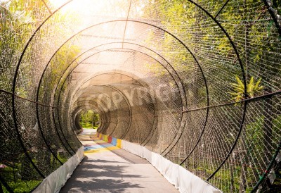 Fototapete Tunnel im Park im Morgengrauen