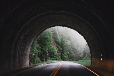 Fototapete Tunnel mit Wald im Nebel