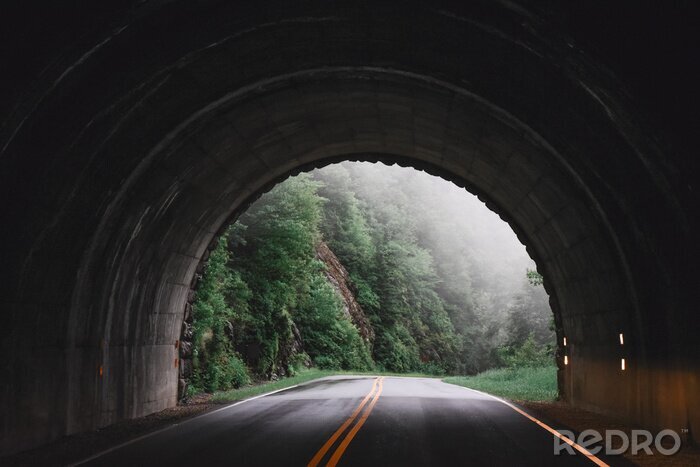 Fototapete Tunnel mit Wald im Nebel