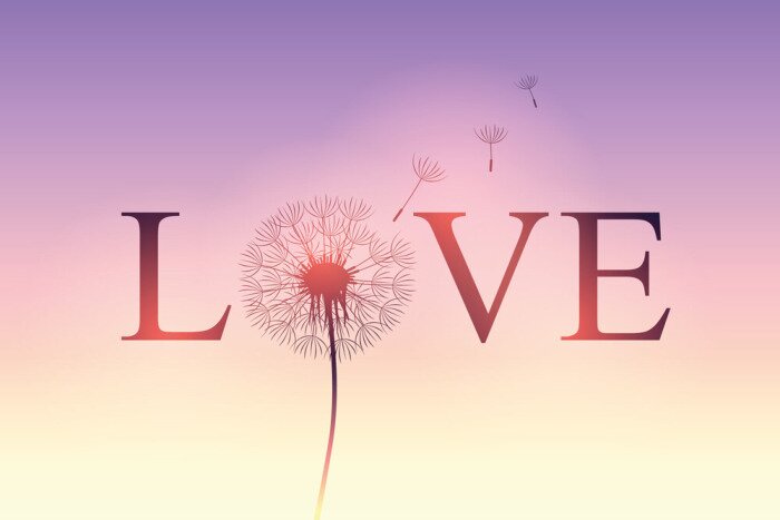 Fototapete Typografisches Motiv mit Pusteblume