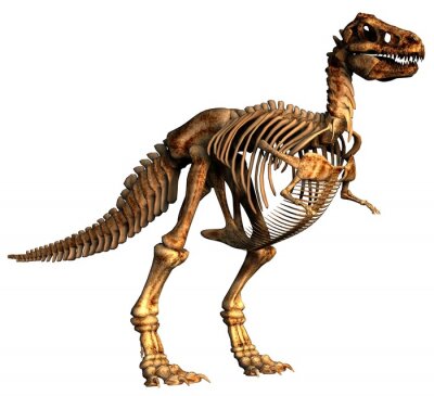 Fototapete Tyrannosaurus in einer grafischen Darstellung