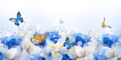 Über Blumen schwebende Schmetterlinge