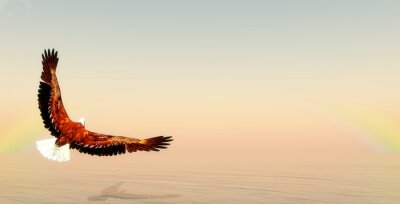 Fototapete über Wasser fliegender Adler
