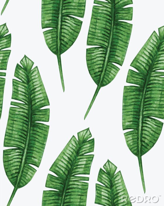 Fototapete Üppig grüne Bananenblätter