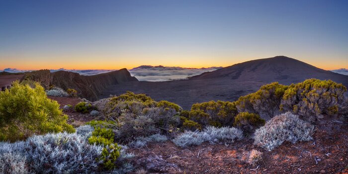 Fototapete Üppige Vegetation in den Bergen