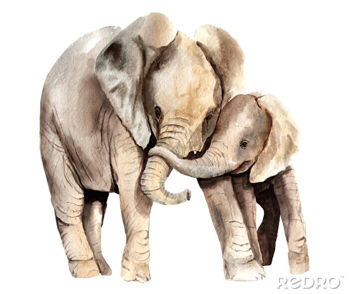 Fototapete Umarmende Elefanten
