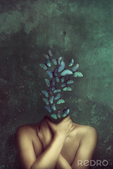 Fototapete Unique Collage mit Schmetterlingen