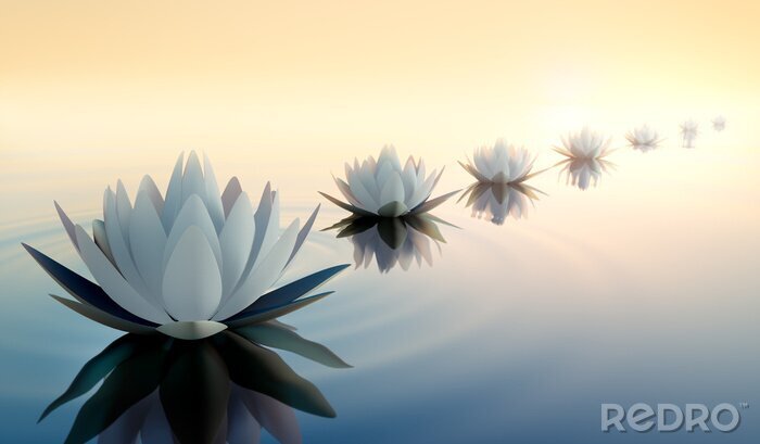 Fototapete Unrealistische Lotusblumen