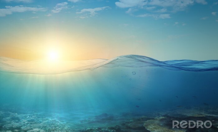 Fototapete Unterwasser-Hintergrund